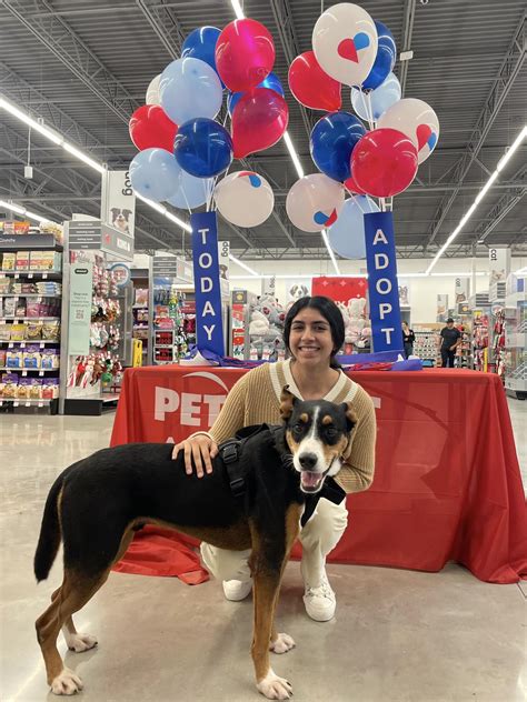 Cats and dogs from LAPS, BFFL find homes at PetSmart adoption event