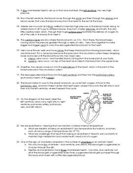 Crash Course Biology #27 Circulatory and Respiratory Systems by Science ...