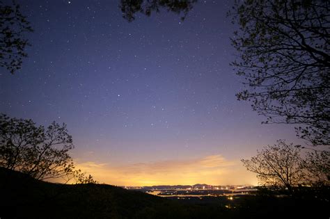 Silhouette of Trees Near City Buildings With Lights Turned Under Starry Sky at Night · Free ...