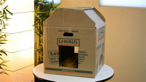 DIY: Fun and Easy Way to Build a Cardboard Cat House - Moving Insider