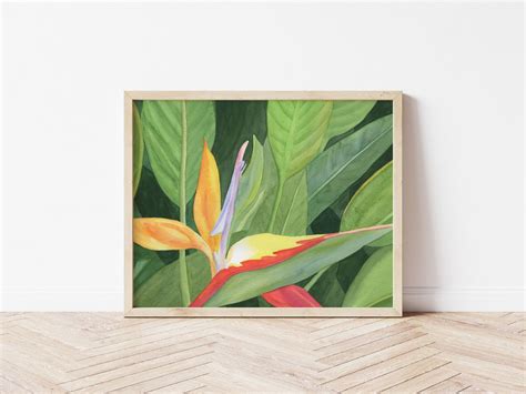 Bird of Paradise Watercolor Print 5 X 7 8 X 10 10 X 12 11 - Etsy