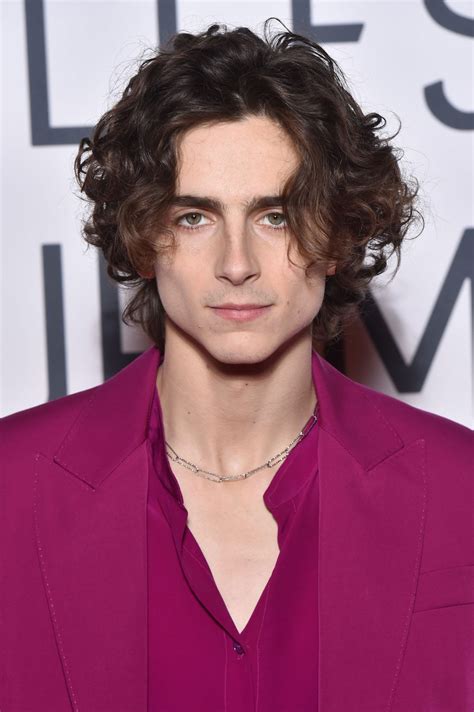 Timothée Chalamet Debuts Mustache at the 2020 National Board of Review Gala