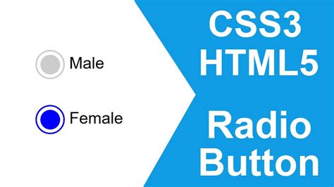 Create Custom Radio Button Using Html Css Youtube - Vrogue