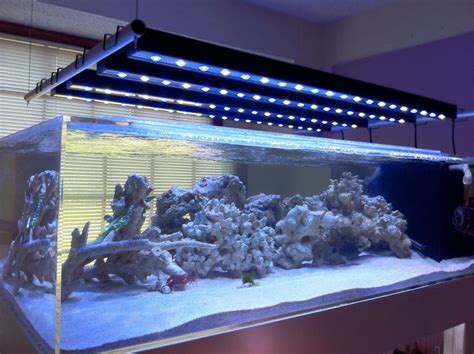 https://www.google.co.kr/blank.html | Aquarium lighting, Led aquarium lighting, Fish tank lights