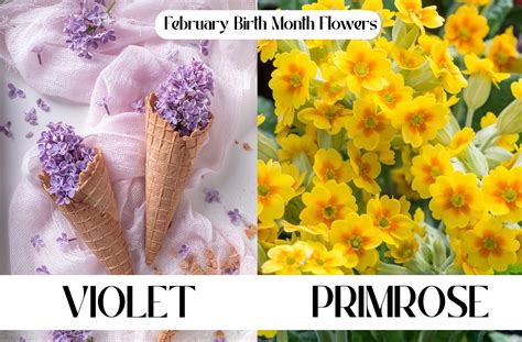 12 Birth Month Flowers & Their Meanings | Blog | Alpha Floral