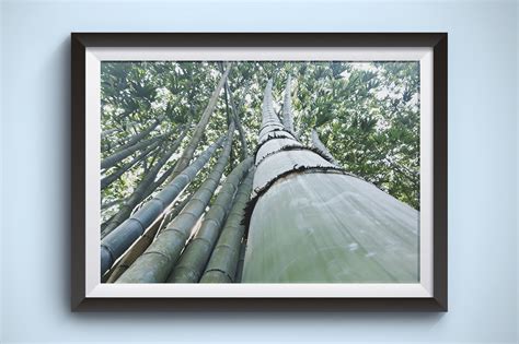 Large Bamboo is Tall and Curved Graphic by Kerupukart Production ...