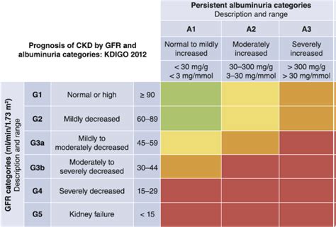 Early Changes of Kidney Function Are a Tell for Heart Disease Risk ...