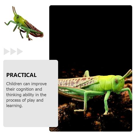 Grasshopper Insects Animals Figurine Toys,The locusts Life Cycle Set ...