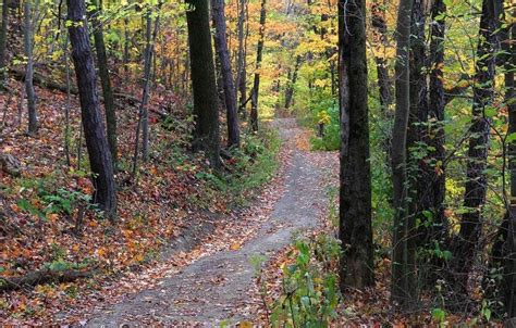 Top 8 Most Breathtaking Hiking Trails in Pennsylvania - Dazzle Way