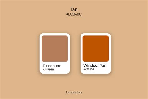 Tan Color: Its Meaning, Codes, and Top Palette Ideas - Picsart Blog (2023)