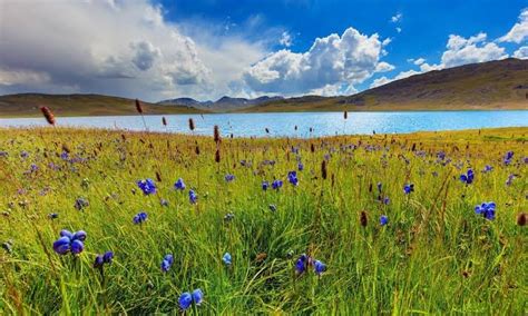 Deosai Plains National Park Pakistan