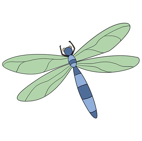 Dragonfly Drawing Images