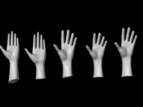 Simple Hands and Feet 3D model Download for Free