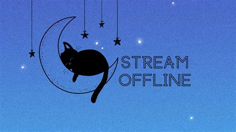 Twitch Offline Screen Black Cat Night Sky, Stream is Offline, Cute Twitch Background, Moon Night ...