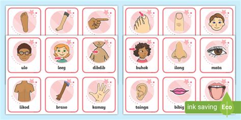 Mga Bahagi Ng Katawan (Flashcards) | Preschool | Twinkl