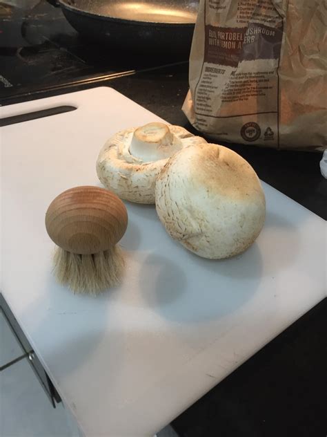 This brush used for cleaning mushrooms, shaped like a mushroom... : r/mildlyinteresting