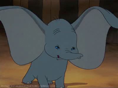 Wiggle GIF – Elephant Ears Dumbo – Ищите GIF-файлы и обменивайтесь ими