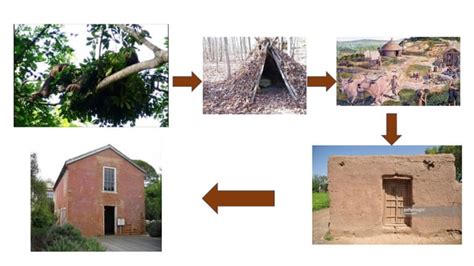 Evolution of shelters | PPT