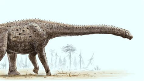 Paleontologists Digitally Reconstruct Giant Dinosaur Argentinosaurus ...