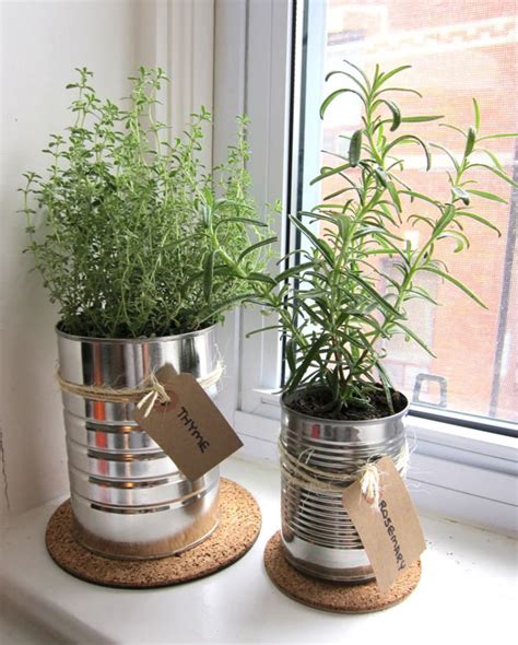 15 Incredible Ideas For Indoor Herb Garden