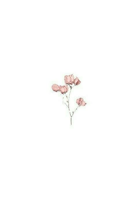 Aesthetic Flower Drawing White Background - musicforruby