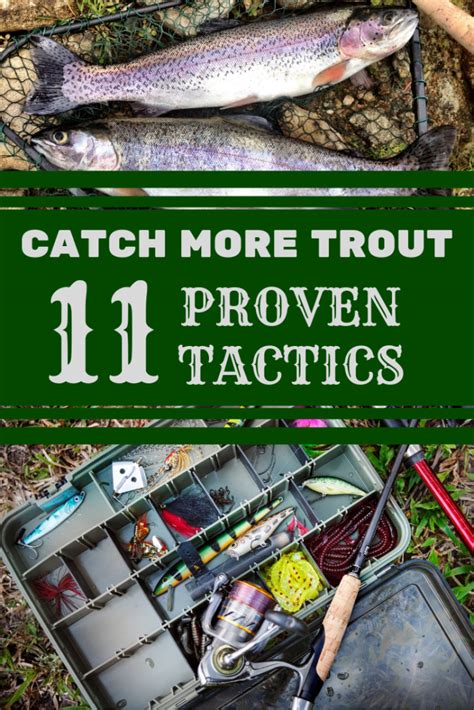 trout fishing guide how to catch fish | Trout fishing tips, Trout fishing, Trout fishing gear