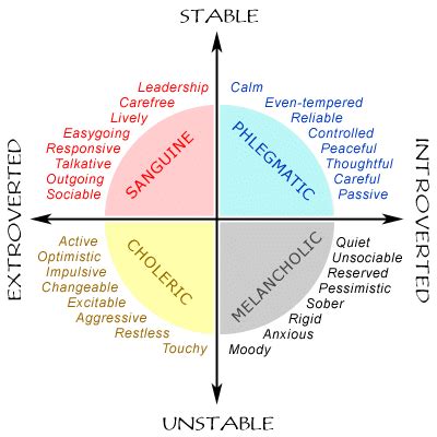 Schematic picture of temperament-related personality traits | Download ...