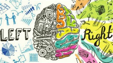 Are you left-brained or right-brained? - The Statesman