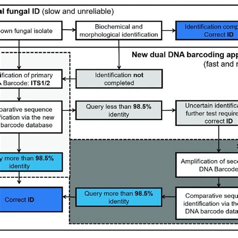 Universal and fungal specific primers for the dual DNA barcoding scheme. | Download Scientific ...