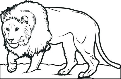 Lion Family Coloring Pages at GetColorings.com | Free printable ...