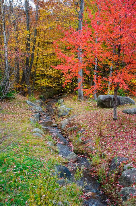 White Mountains Fall Foliage 172 by FairieGoodMother on DeviantArt