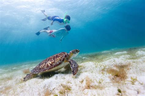 St. Thomas Snorkeling