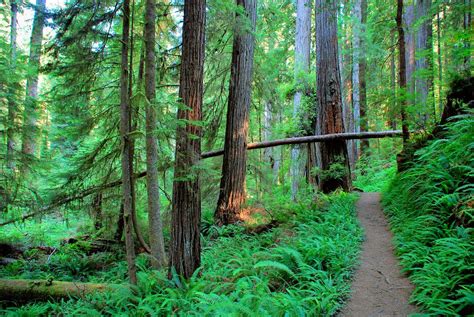 The Best Coastal Hiking Trails in California