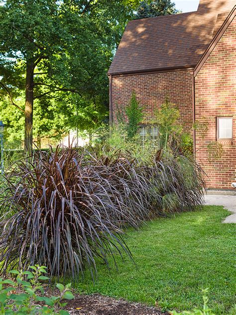 5 Uses for Ornamental Grasses in Your Garden | Proven Winners