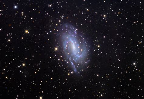 Spiral Galaxy Ngc 925 Photograph by Robert Gendler/science Photo ...