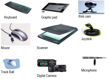 Difference Between Input and Output Devices - Pediaa.Com