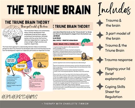 Triune Brain Model, Trauma and the Brain, Healing Trauma, Trauma ...