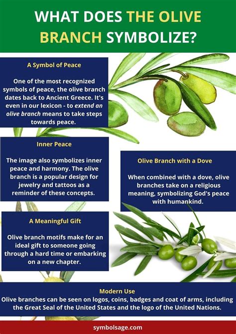 What Does the Olive Branch Symbolize? | Olive branch meaning, Olive branch symbolism, Olive branch