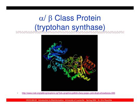 Protein Structure Prediction