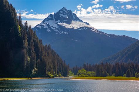 Tongass National Forest | Photos by Ron Niebrugge