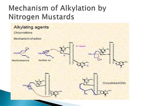 Alkylating anticancers