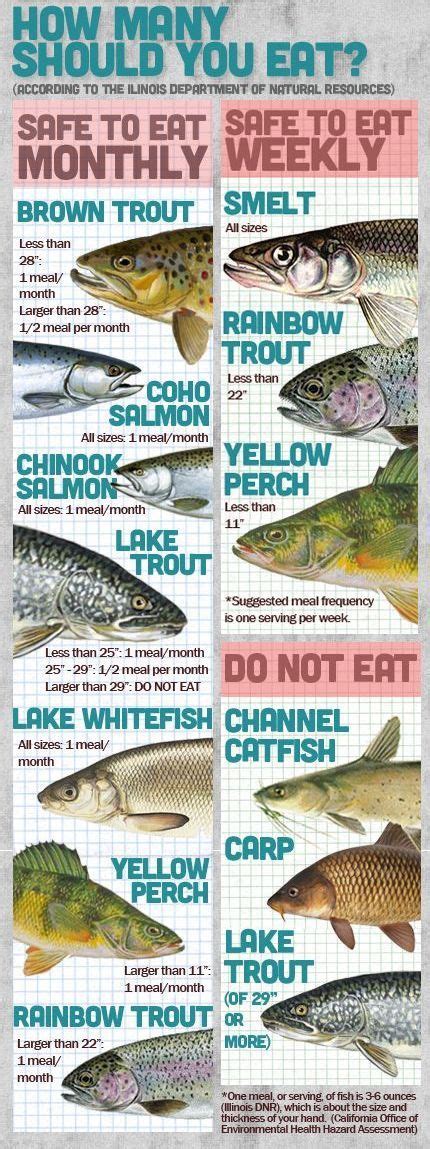 Trout Fishing Tips and Techniques