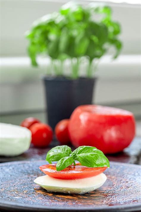 Fresh Basil And Dill On The Table - Creative Commons Bilder