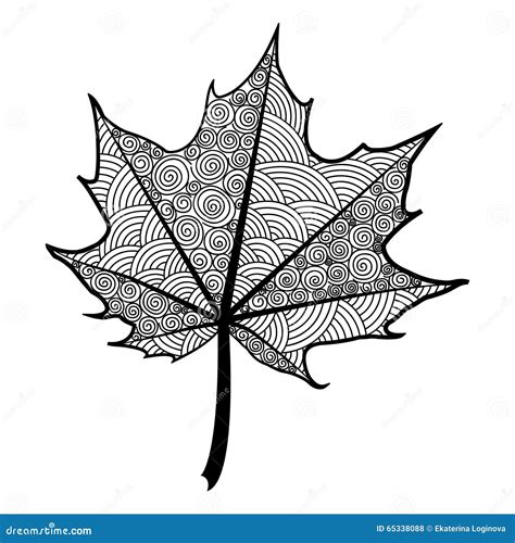 Zentangle Black and White Leaf of the Tree Maple. Stock Vector - Illustration of hand, autumn ...