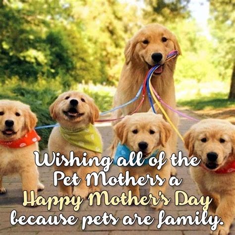 Pin by KIT CAT 💝 🍫 on I LOVE MY FUR BABIES :) | Happy mother s day, Pets, Happy mothers day