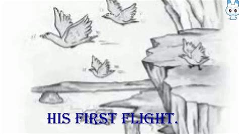 The Story_ His First Flight H.D. Video (new). | Classic story, Story ...