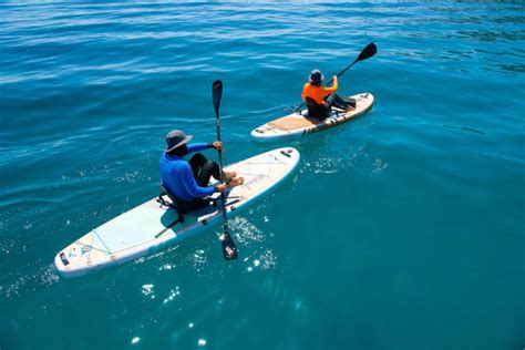 Kayak Paddle Board Combo? We Answer All of Your Questions | Thurso Surf