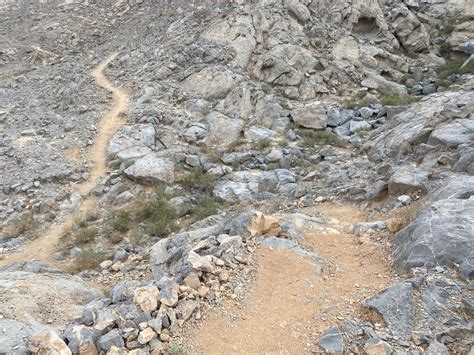 Jebel Jais Lower Trails - Glimpses of UAE