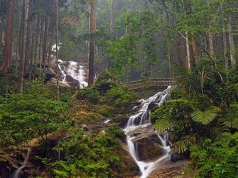 taman negara hiking trails - Lillian Ogden