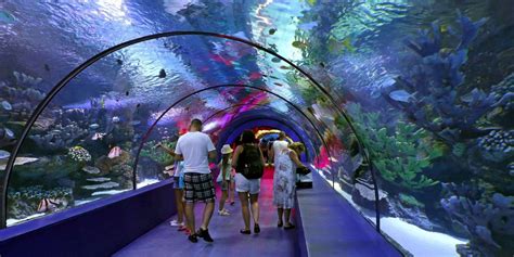 Antalya Aquarium (What to Expect? Tickets with Local Advice) - iAntalya